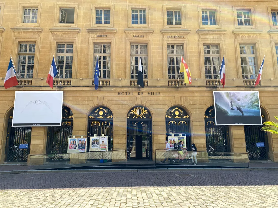 Pourquoi y a-t-il des photos d’animaux sur la façade de la mairie de Metz ?
